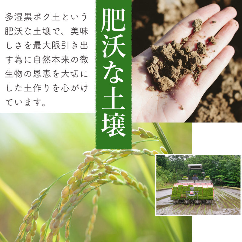 秋田県産あきたこまち 20kg【玄米】令和5年産 サンファーム西木