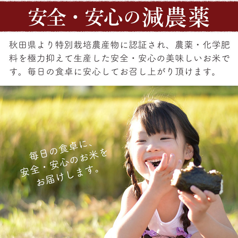 新米＞秋田県産あきたこまち 20kg【玄米】令和5年産 サンファーム西木