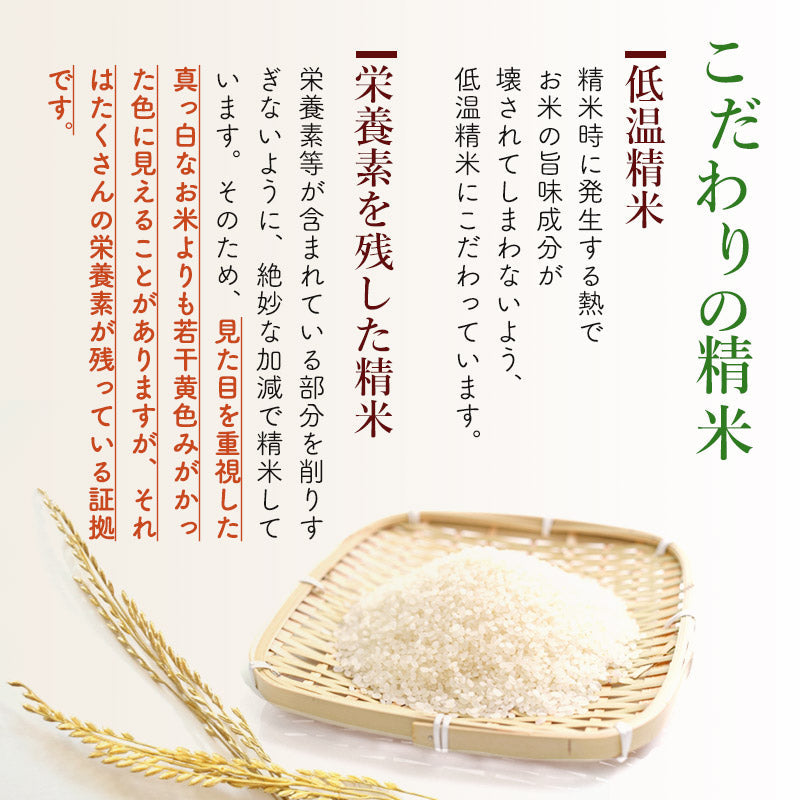秋田県産あきたこまち 15kg【無洗米】 令和5年産 サンファーム