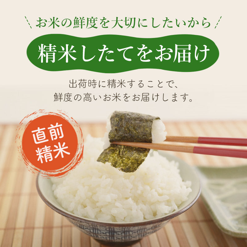 秋田県産あきたこまち 5kg【白米】 令和5年産 サンファーム西木