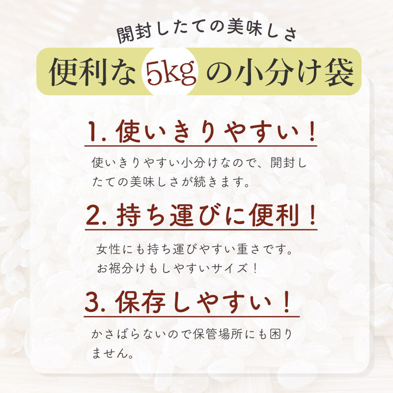 秋田県産あきたこまち 10kg【白米】 令和5年産 サンファーム西木